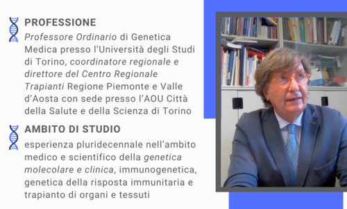 info Amoroso3